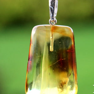 Amber pendant with silver chain on a green background