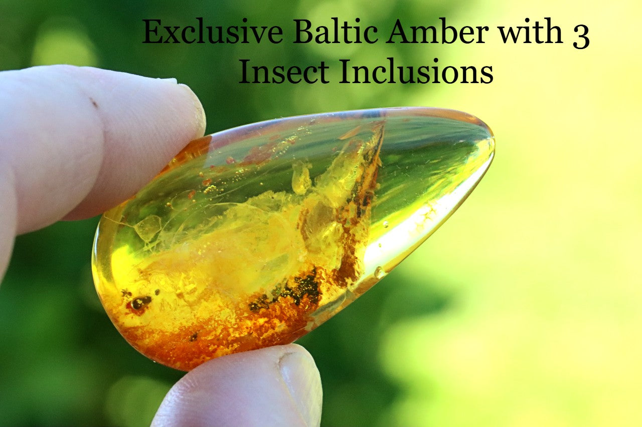Clear Baltic Amber with insect inclusions held by a hand against a blurred green background.