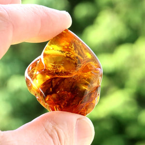 Hand holding a piece of amber against a blurred green background