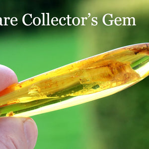 Amber gemstone held by a hand with a blurred green background and text 'Rare Collector's Gem'.