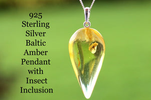Teardrop-shaped Baltic Amber pendant with insect inclusion on a silver chain against a green background.
