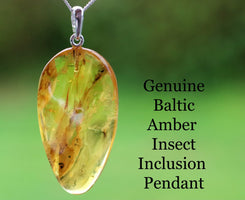 Silver Pendant with Insect Inclusion Pendant on a green background