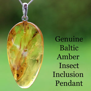 Silver Pendant with Insect Inclusion Pendant on a green background