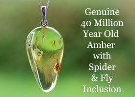 Spider & Fly Inclusion Pendant Necklace