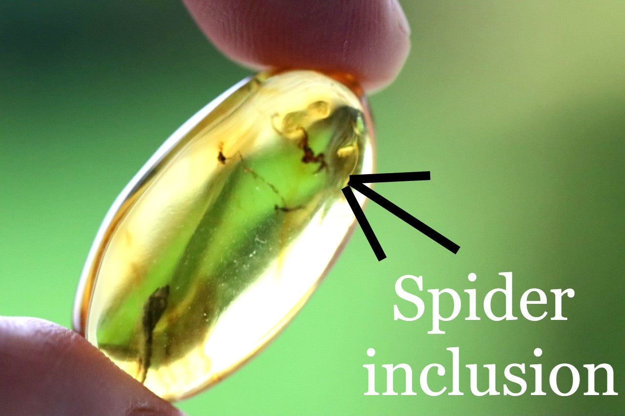 Spider in Amber Resin