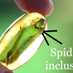Spider in Amber Resin