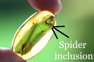 Spider in Amber Resin