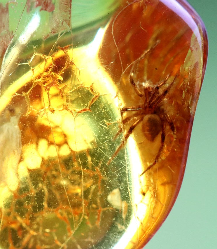 Spider encased in amber with a green background