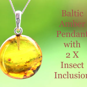 Baltic Amber Pendant with 2 X Insect Inclusion on a green background