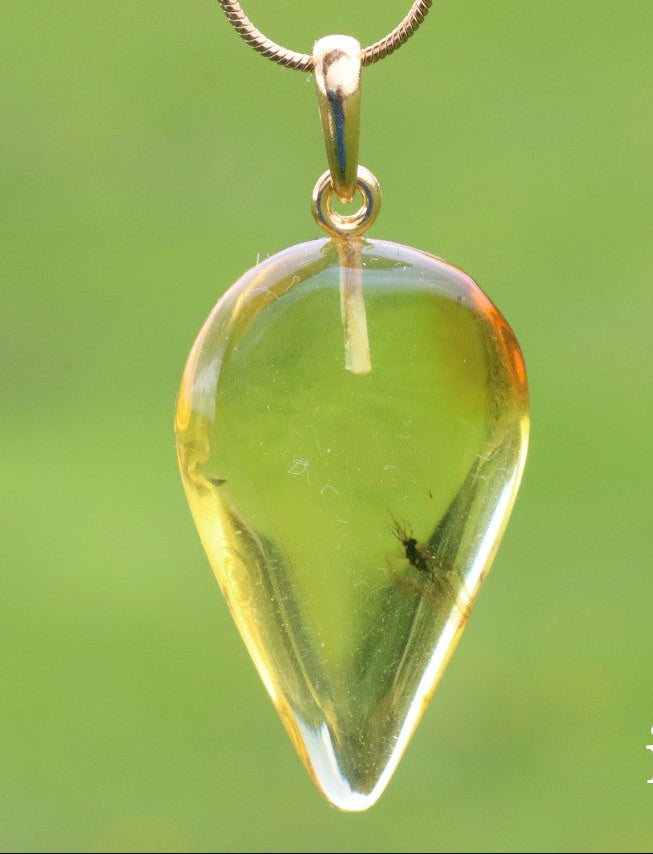 Teardrop-shaped Baltic amber pendant with visible insect inclusion on a green background