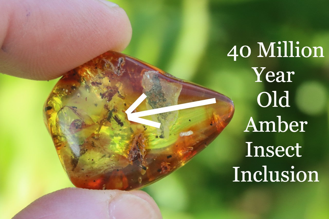 A close-up image of an amber gem with trapped bug insect inclusion, held in a person's hand.