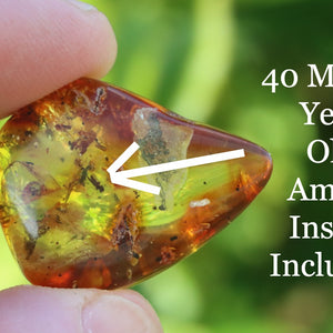 A close-up image of an amber gem with trapped bug insect inclusion, held in a person's hand.