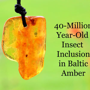 A polished Baltic amber pendant with a black cord, featuring a natural green and orange coloration with an insect inclusion, set against a blurred green background with text reading '40-Million Year Old Insect Inclusion in Baltic Amber'.