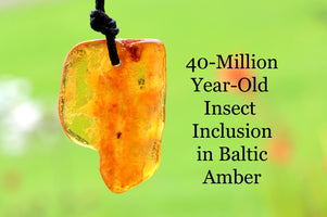 A polished Baltic amber pendant with a black cord, featuring a natural green and orange coloration with an insect inclusion, set against a blurred green background with text reading '40-Million Year Old Insect Inclusion in Baltic Amber'.