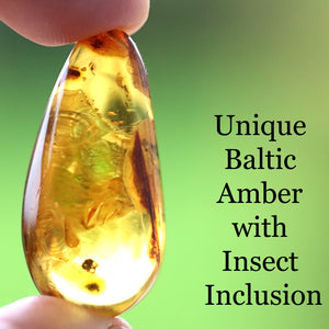 Teardrop-shaped Baltic Amber with insect inclusion held between fingers against a green background.