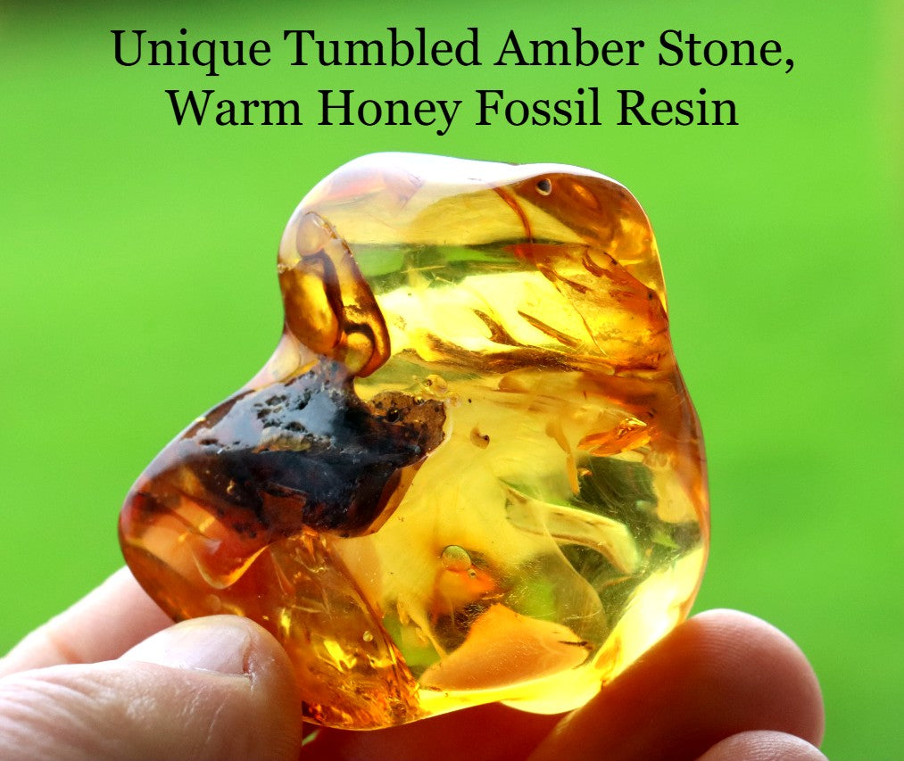 Warm Honey Fossil Resin against green backdrop