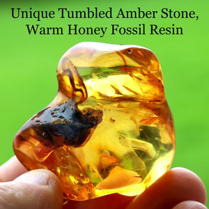 Warm Honey Fossil Resin against green backdrop