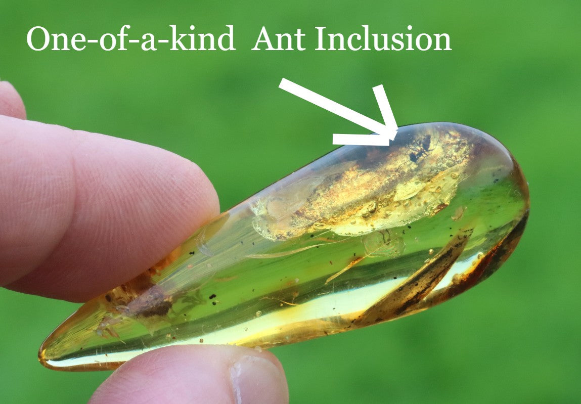 40M Year Old Ant Inclusion in Baltic Amber