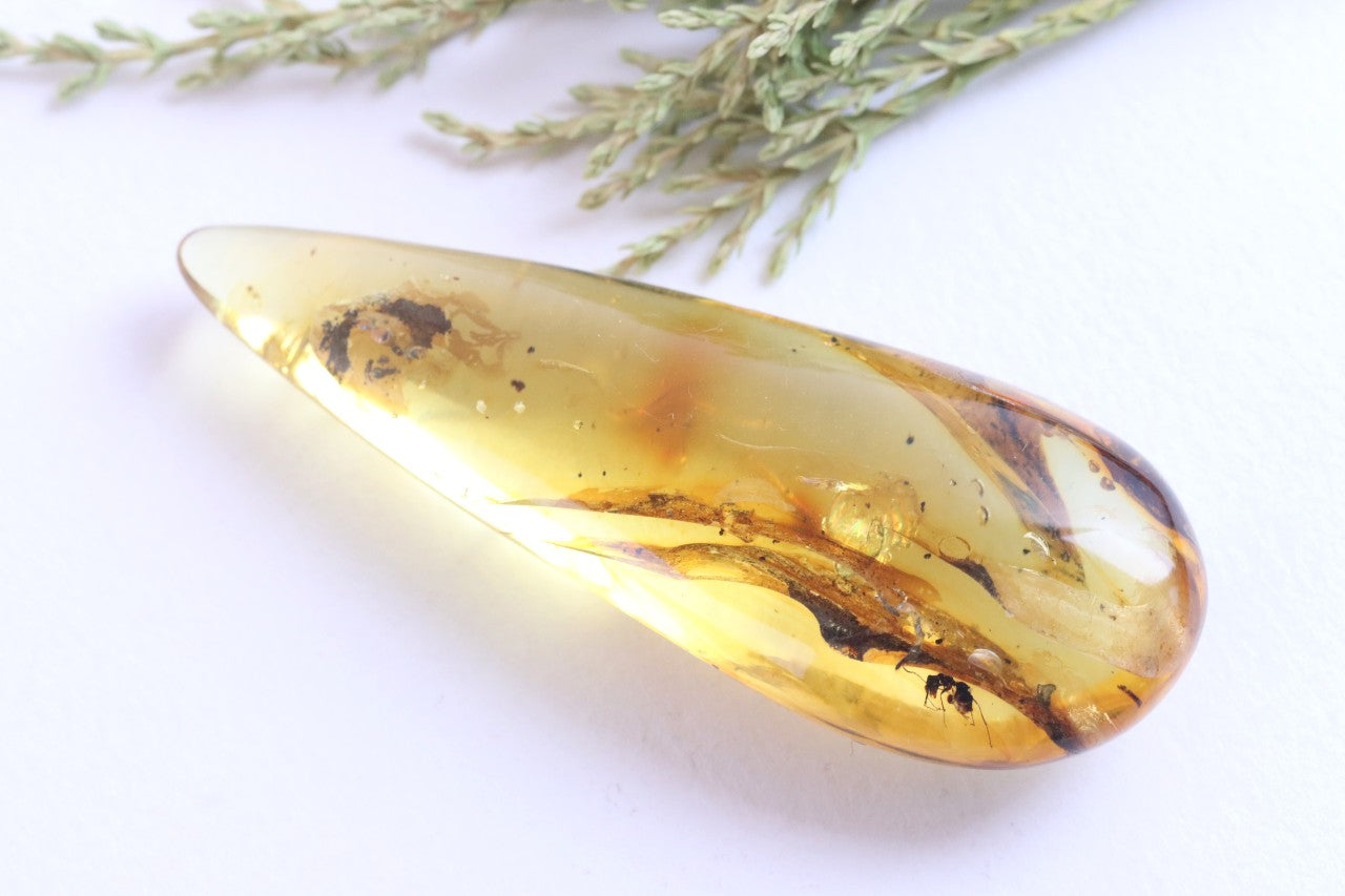 40M Year Old Ant Inclusion in Baltic Amber