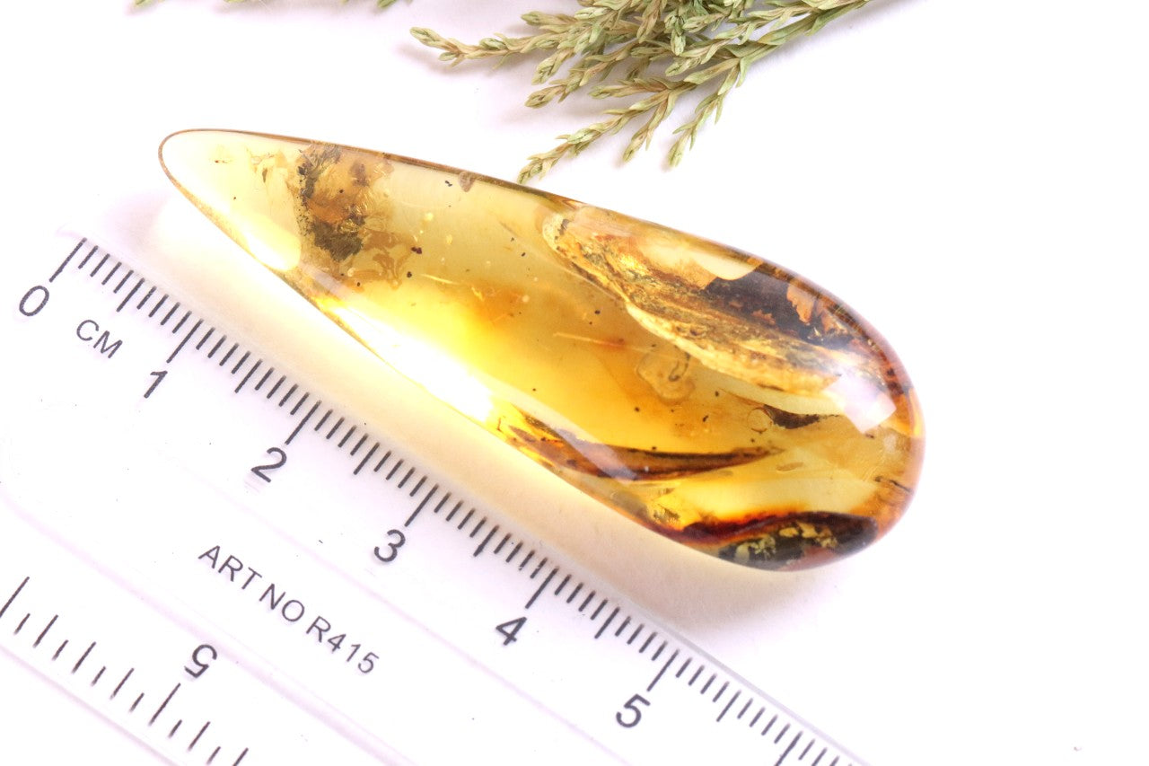 40M Year Old Ant Inclusion in Baltic Amber