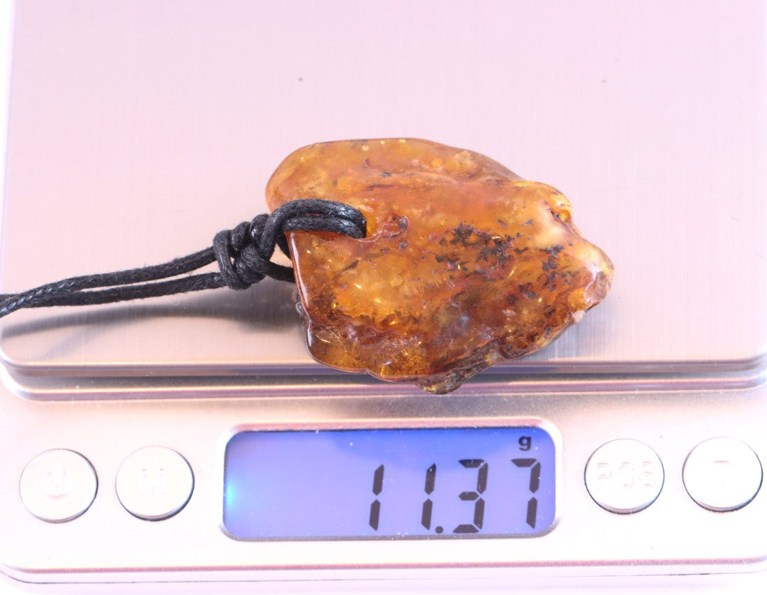 Large Natural Baltic Amber Amulet Pendant Necklace