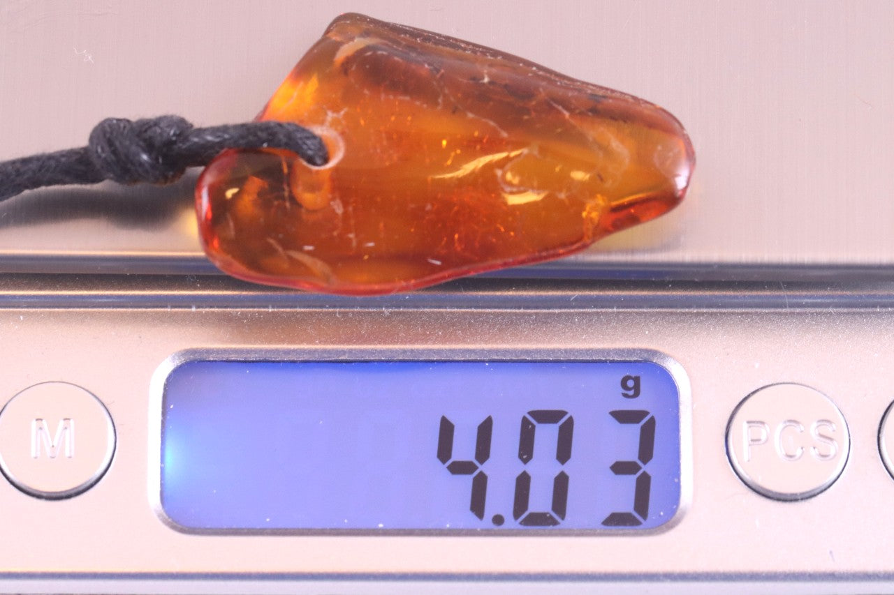 2 Insects in Baltic Amber Amulet
