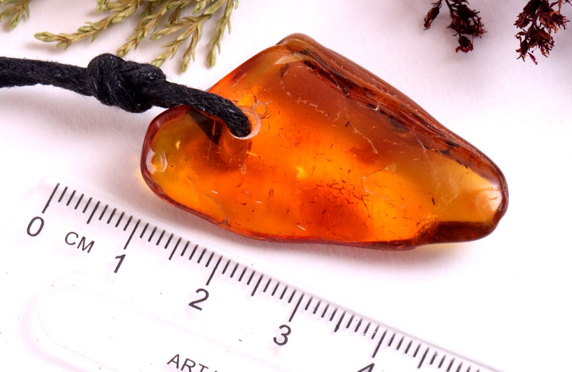 2 Insects in Baltic Amber Amulet