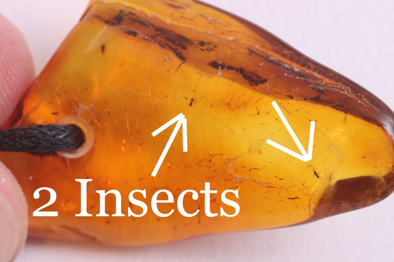 2 Insects in Baltic Amber Amulet