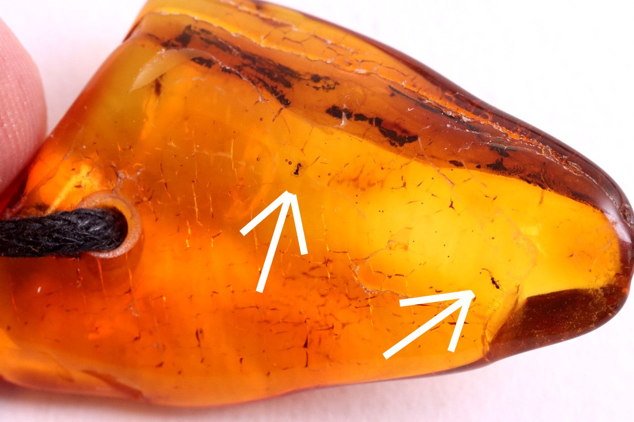 2 Insects in Baltic Amber Amulet