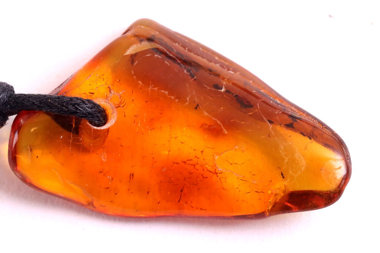 2 Insects in Baltic Amber Amulet
