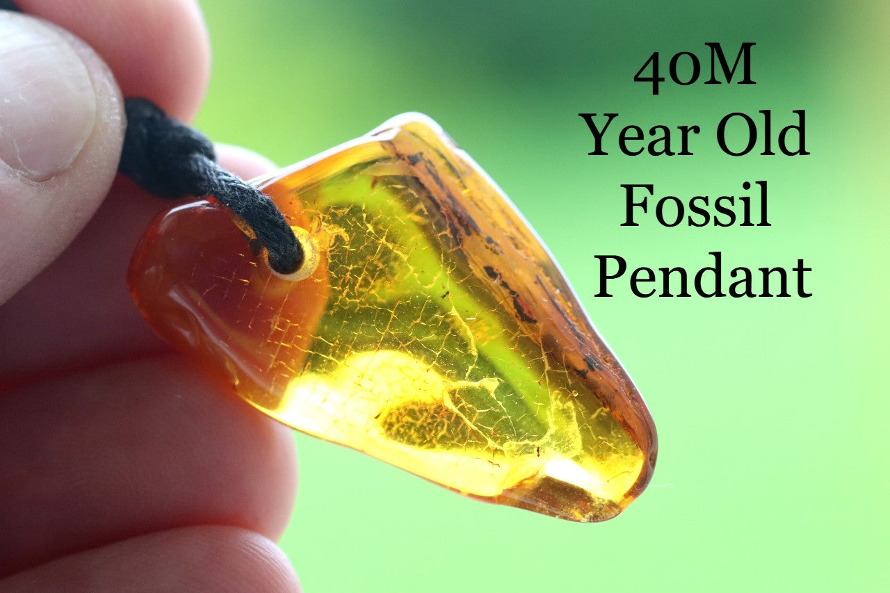 2 Insects in Baltic Amber Amulet