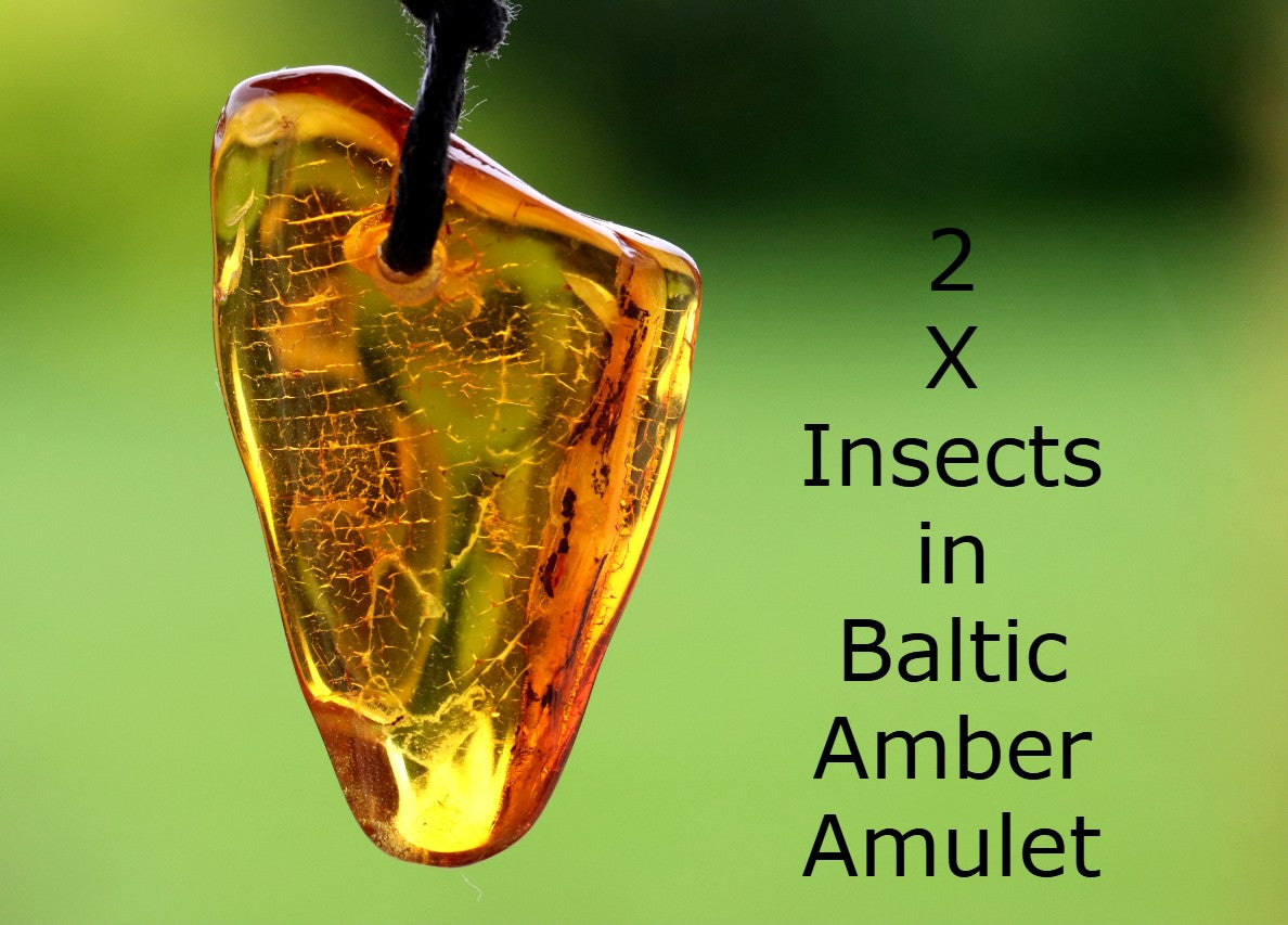 2 Insects in Baltic Amber Amulet