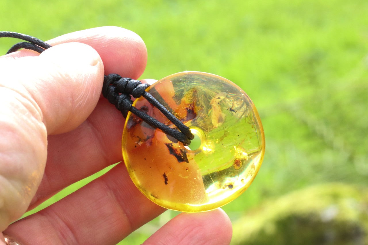 Large Natural Baltic Amber Donut Amulet Pendant with Insect Inclusion