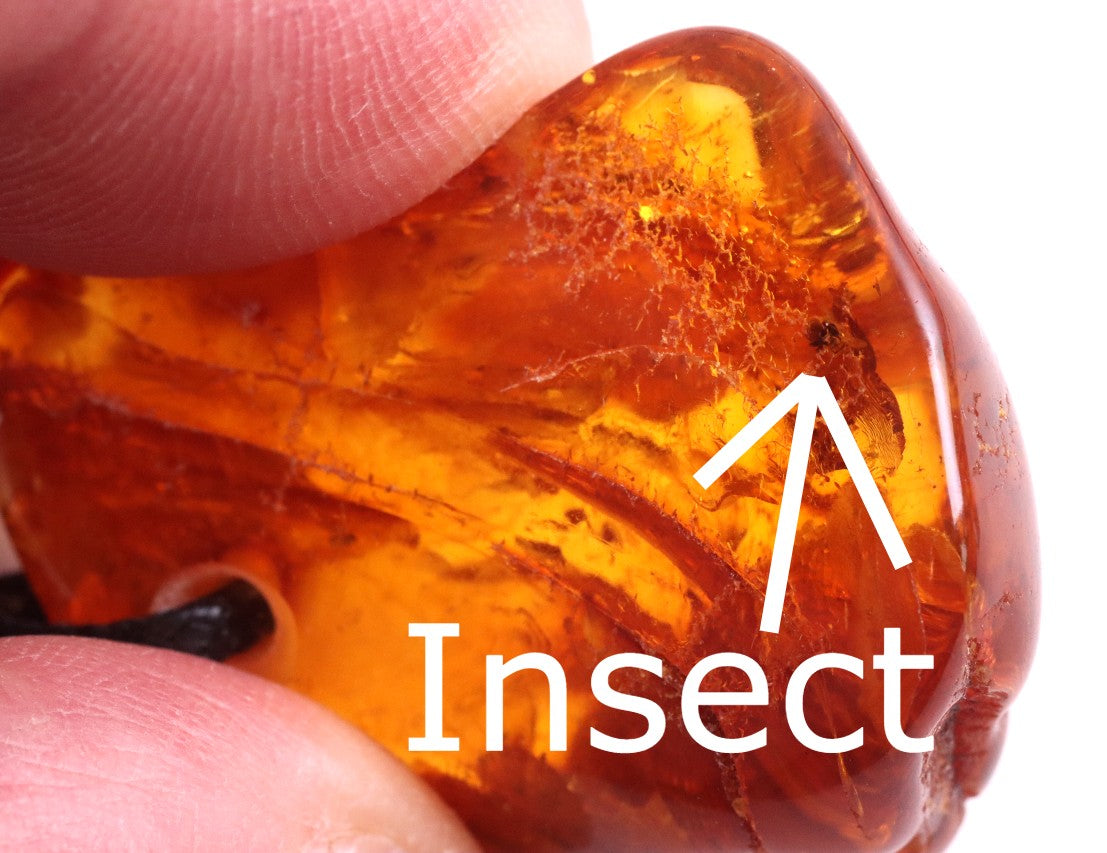 Natural Handmade Amber Amulet Pendant with Tiny Insect Inclusion