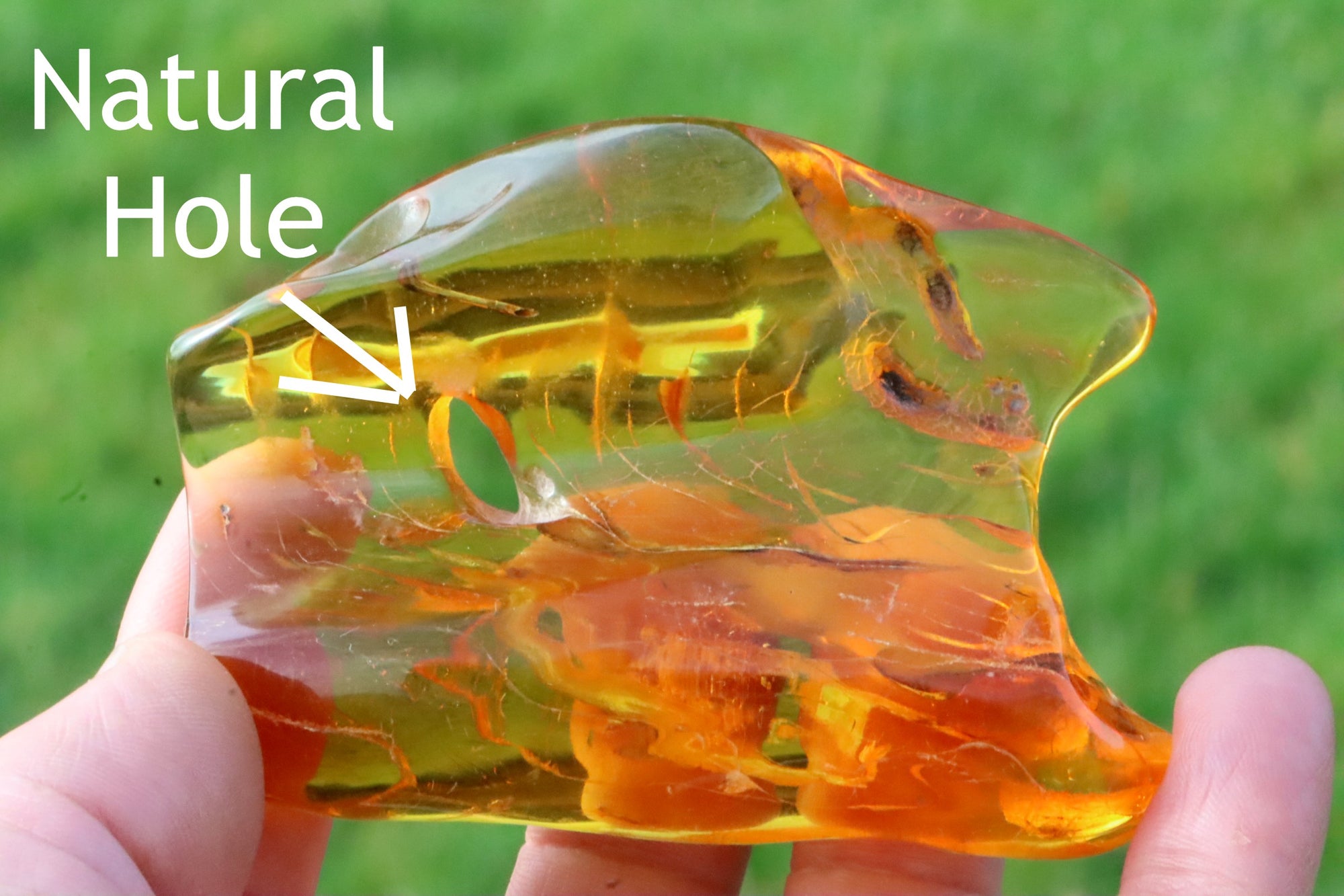 Clear Baltic Amber Gem with Insect Inclusion