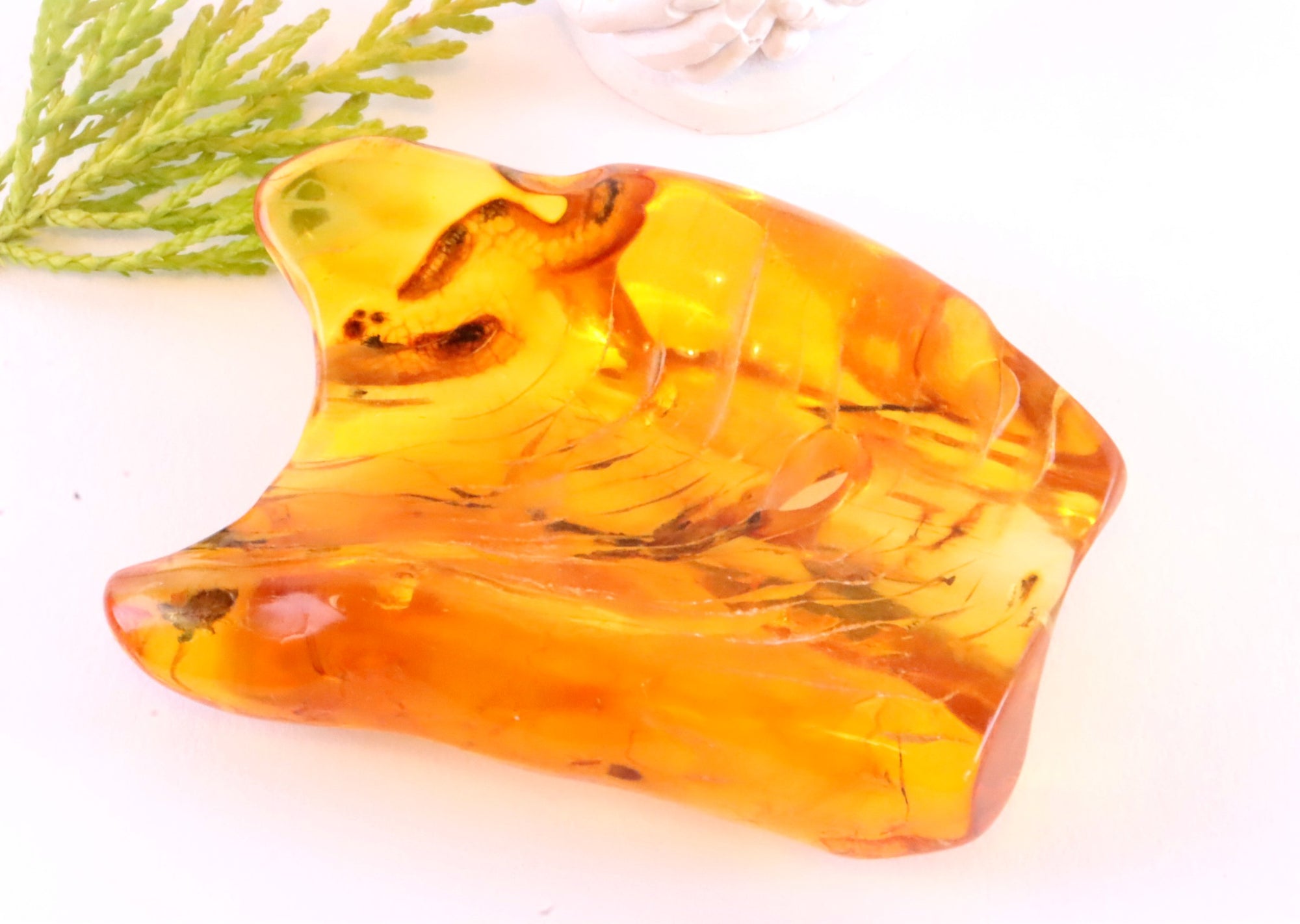 Clear Baltic Amber Gem with Insect Inclusion