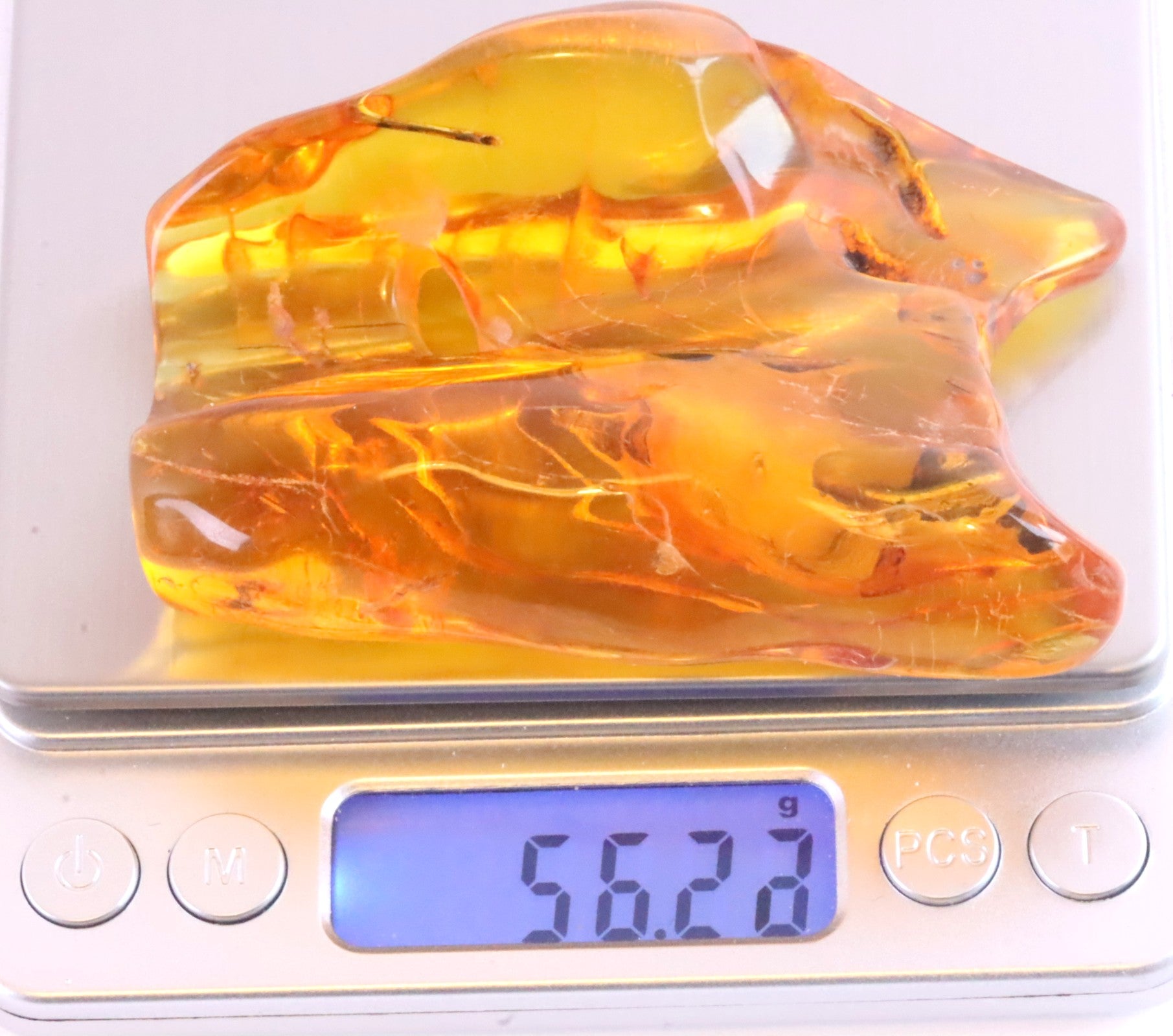 Clear 40 Million year Old Baltic Amber Museum Collector's gem with Insect Inclusion