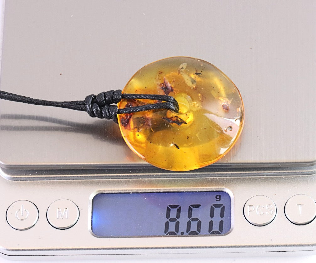 Large Natural Baltic Amber Donut Amulet Pendant with Insect Inclusion