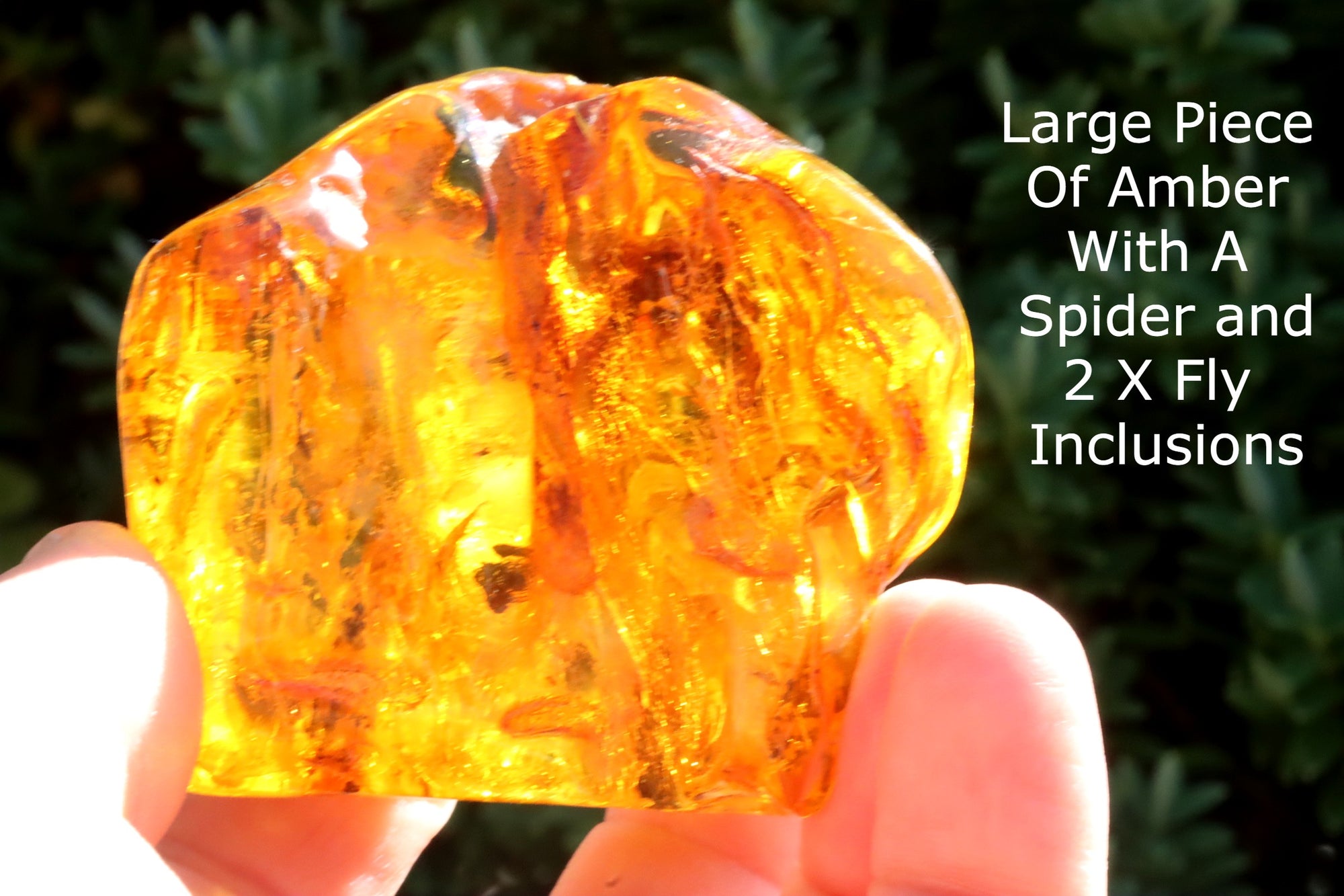 Unusual Piece Of Large Baltic Amber With A Spider And 2 X Fly Inclusions