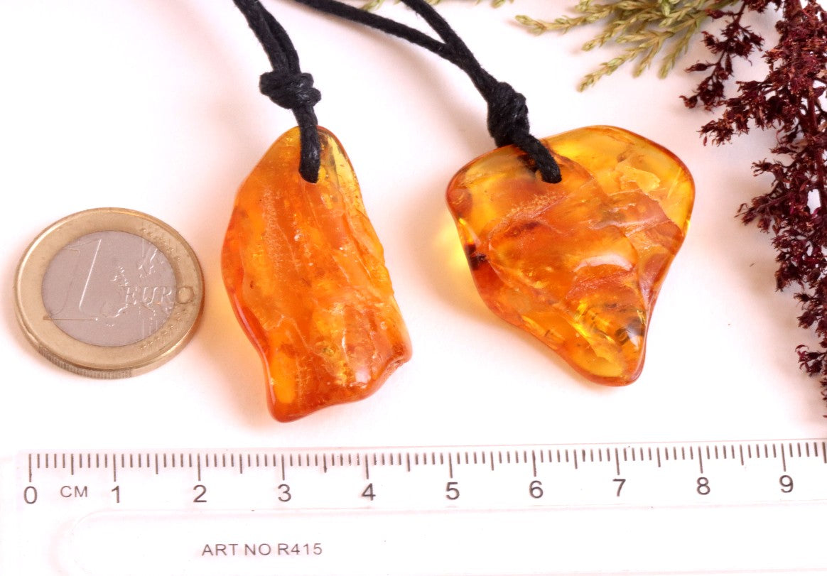Special Offer – 2 Baltic Amber Amulets with Insect Inclusions