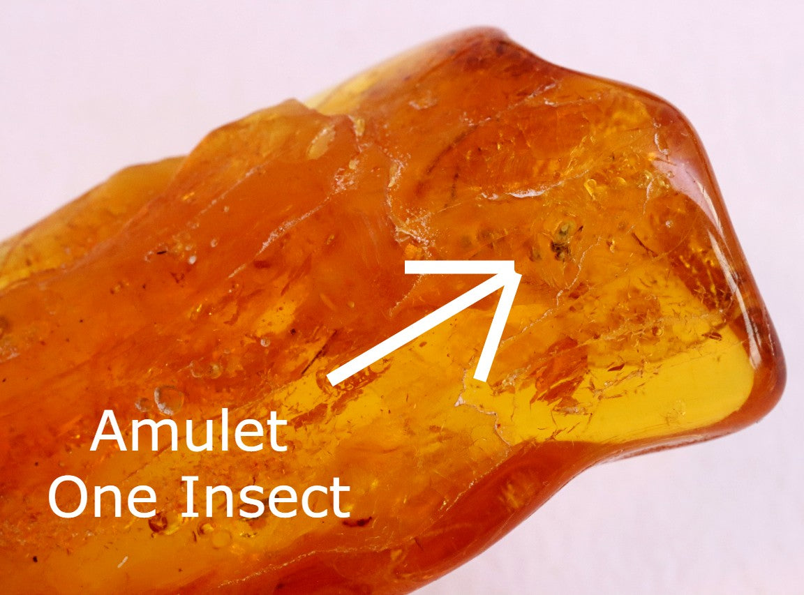 Special Offer – 2 Baltic Amber Amulets with Insect Inclusions