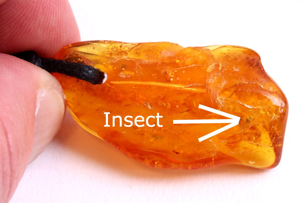 Special Offer – 2 Baltic Amber Amulets with Insect Inclusions