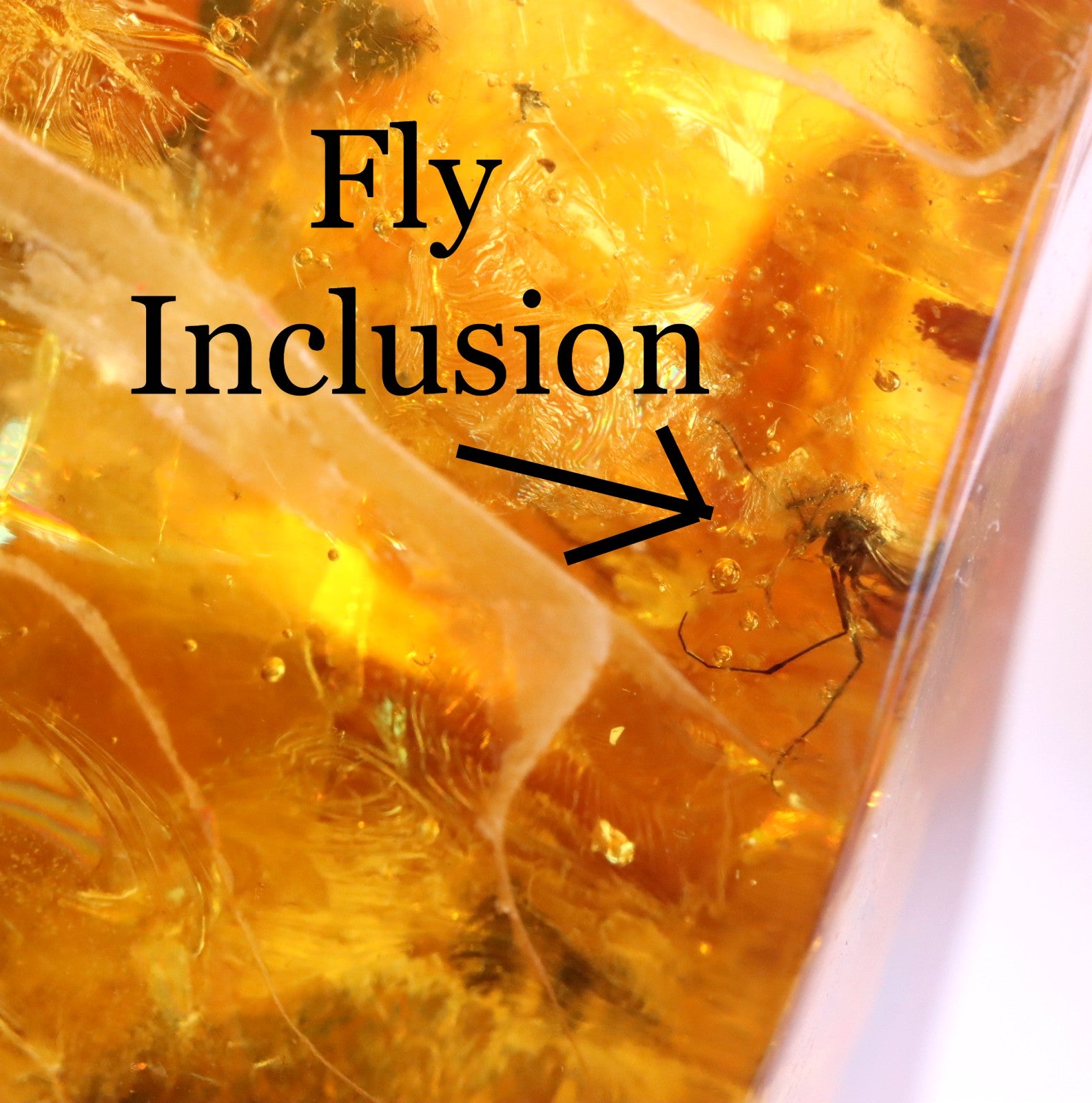 Unusual Piece Of Large Baltic Amber With A Spider And 2 X Fly Inclusions