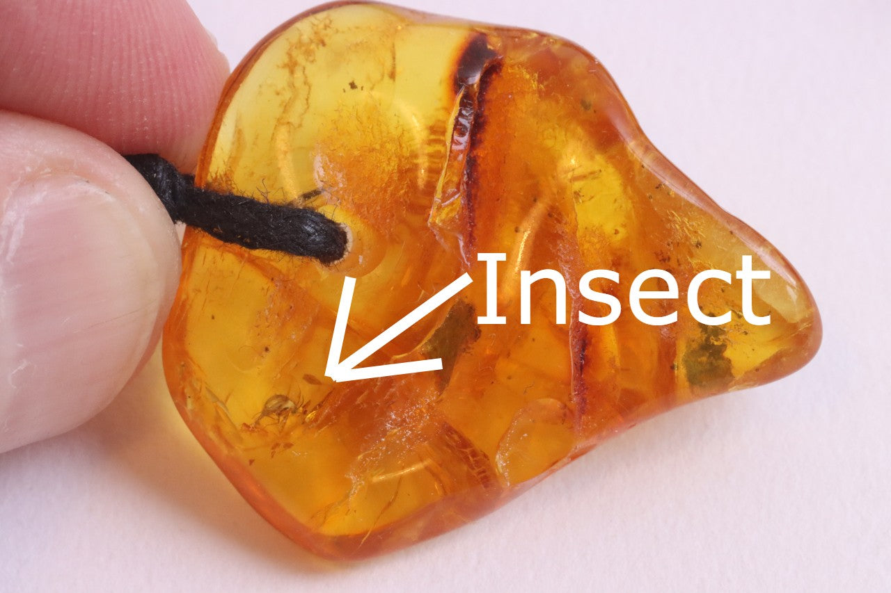 Special Offer – 2 Baltic Amber Amulets with Insect Inclusions