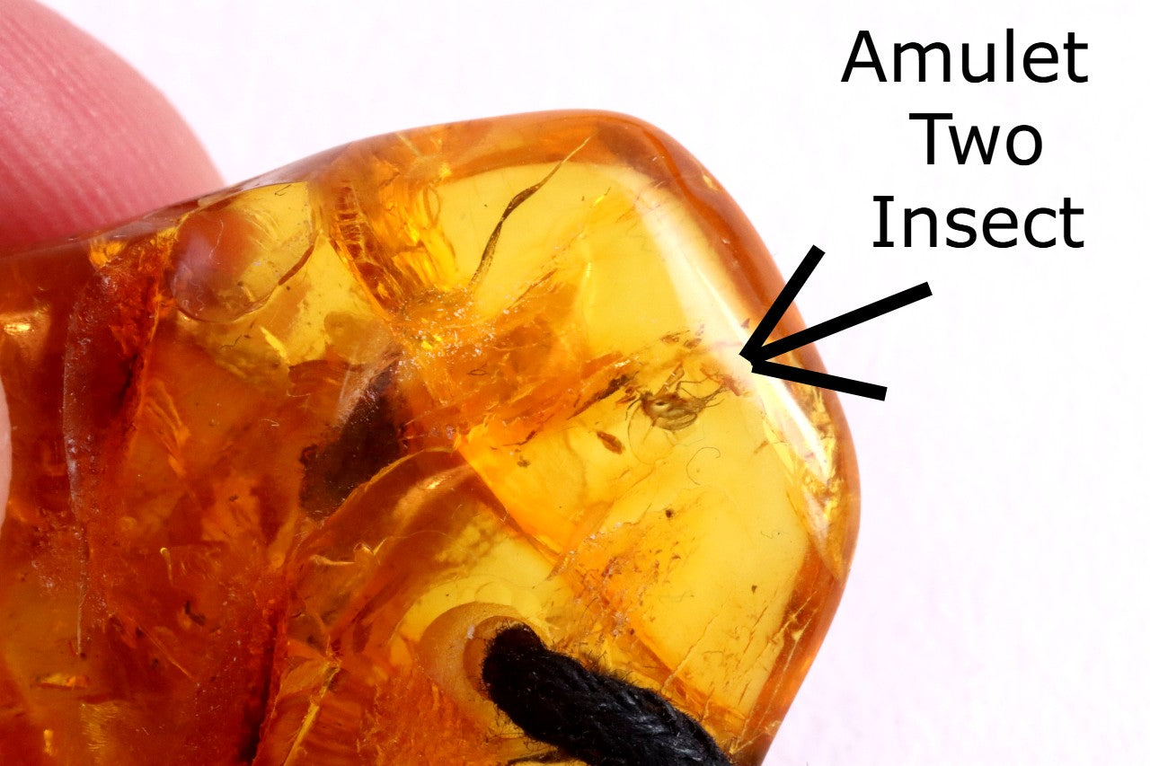 Special Offer – 2 Baltic Amber Amulets with Insect Inclusions