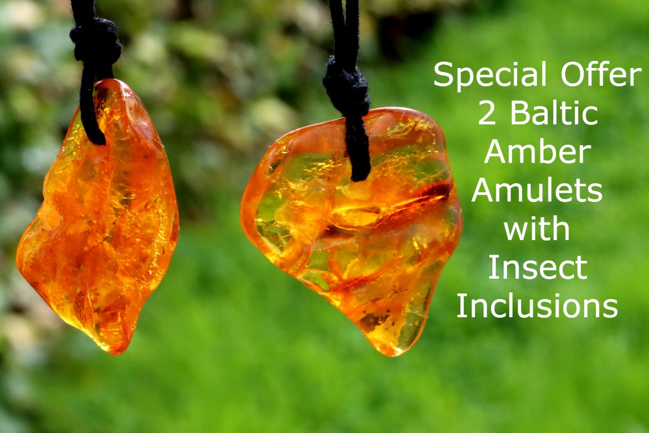 Special Offer – 2 Baltic Amber Amulets with Insect Inclusions