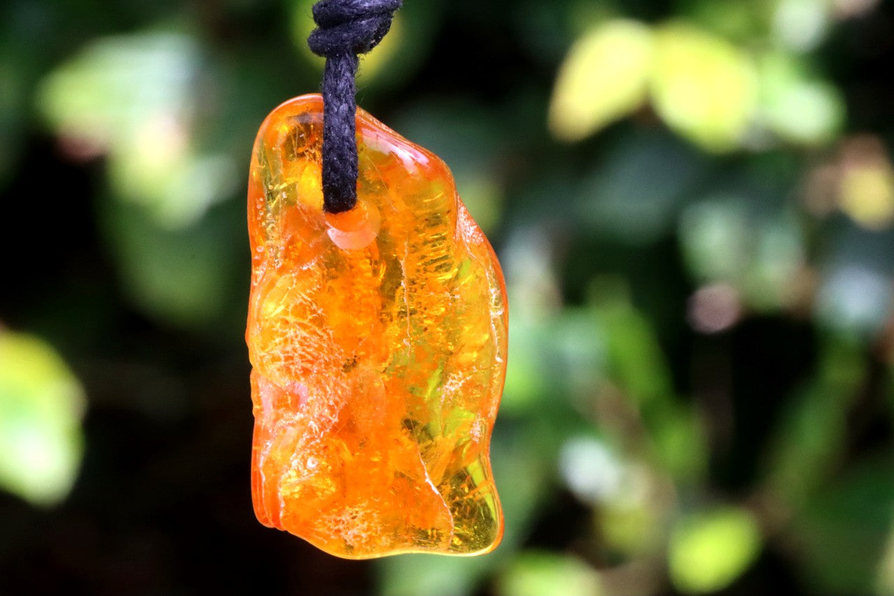 Special Offer – 2 Baltic Amber Amulets with Insect Inclusions
