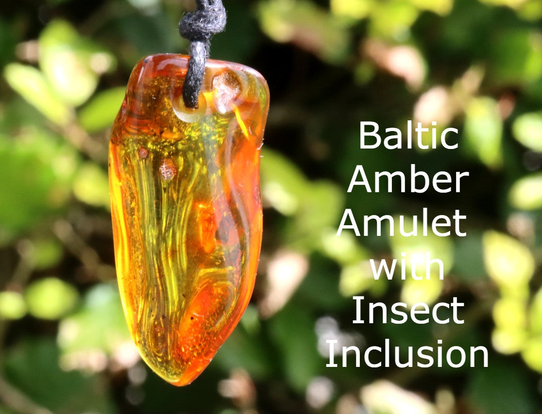 Amber Amulet with Fossil