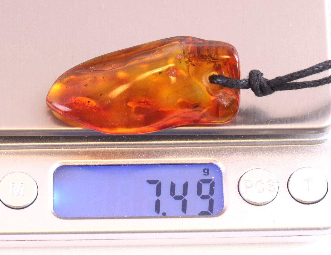 Amber Amulet with Fossil