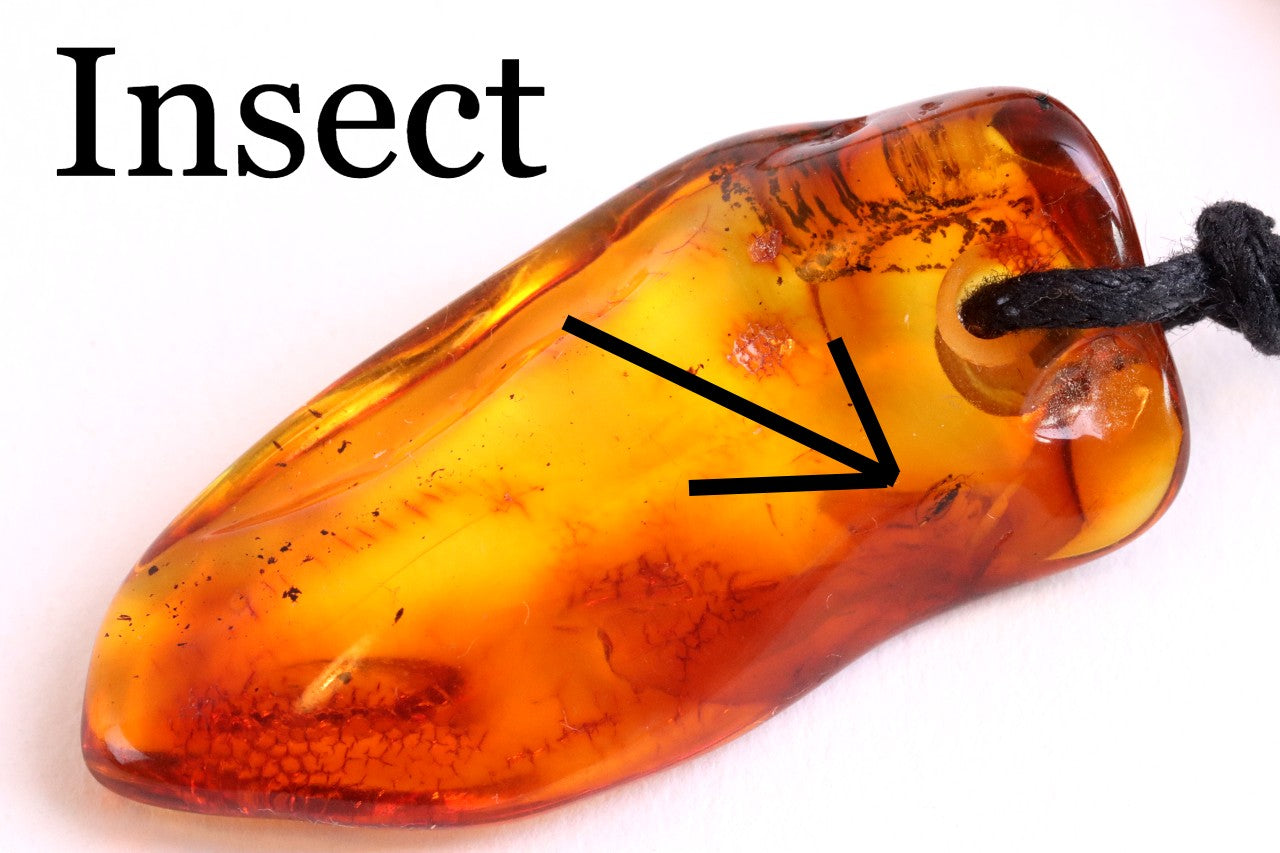 Amber Amulet with Fossil